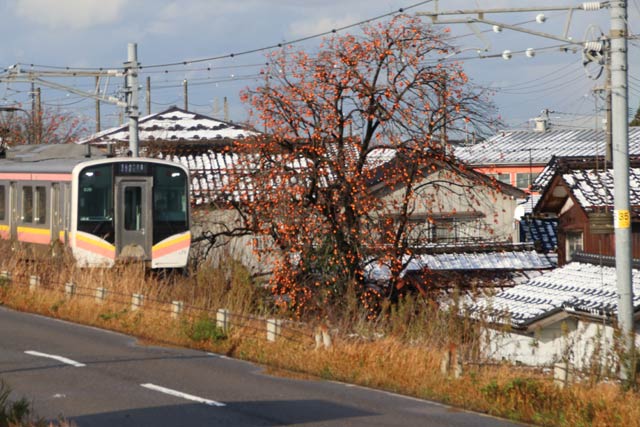雪で屋根が白くなった家と弥彦線を北三条駅へ向かう電車