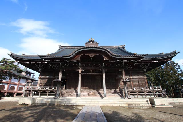 年末と思えない穏やかな陽気