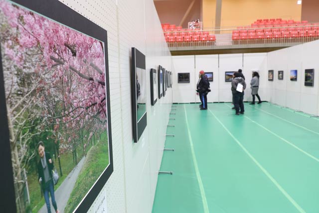 写真部門