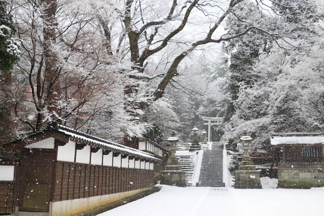 8日午後0時半ごろの雪化粧した加茂市・青海神社