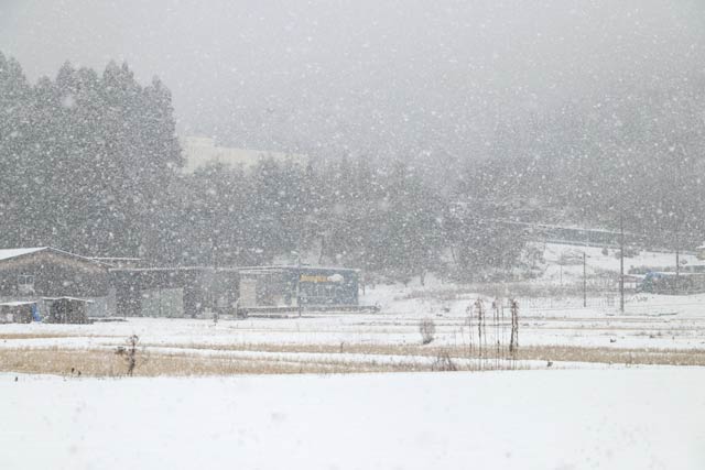 9日午後1時20分ごろ田上町で激しく降る雪