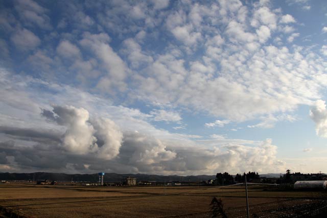 さまざまな形の雲が混在していた