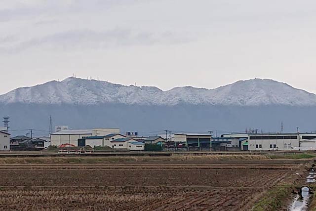 上半分が冠雪した弥彦山