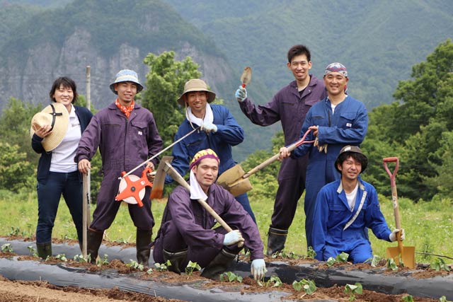 NPOソーシャルファームさんじょうの活動で芋（いも）焼酎 「五輪峠」の芋苗を植える地域おこし協力隊