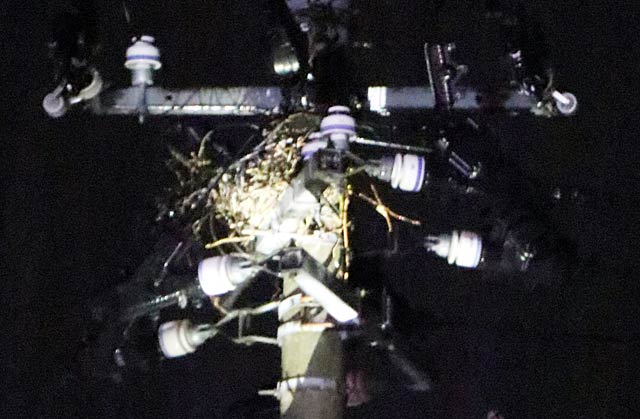 火花が出た電柱の上の鳥の巣