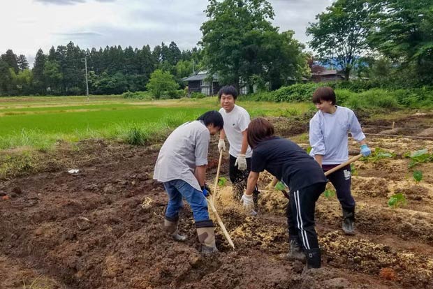下田で荒れ地を整備する