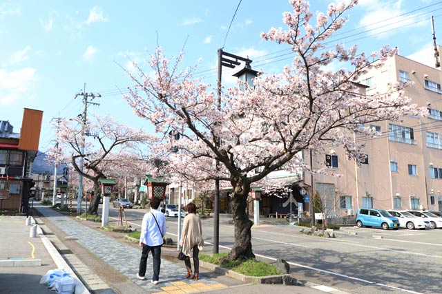 弥彦駅前通り
