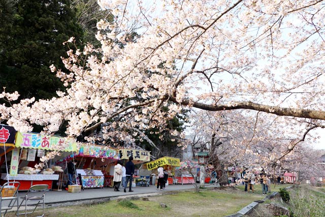 弥彦公園