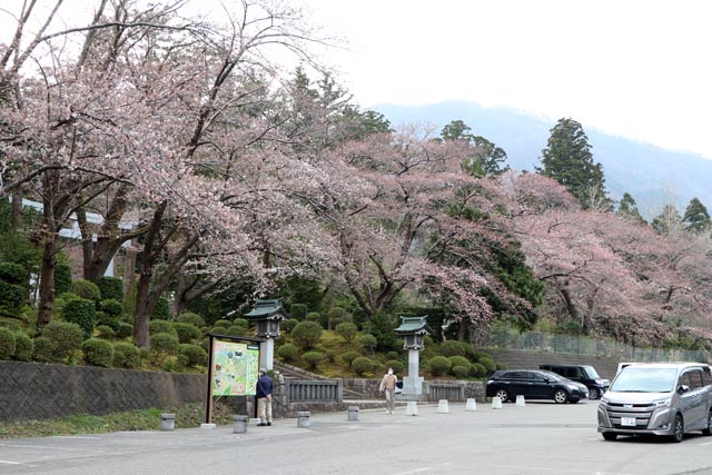 大駐車場