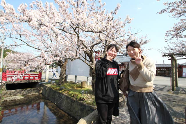 弥彦駅前で花見の姉妹