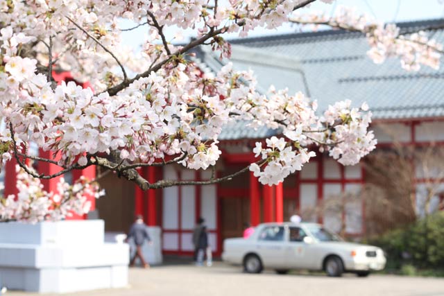 弥彦駅前