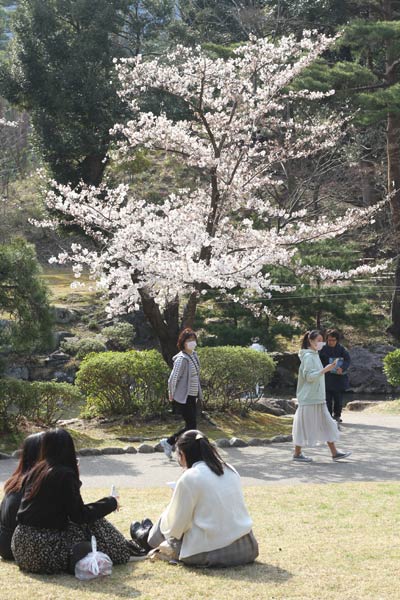 弥彦公園