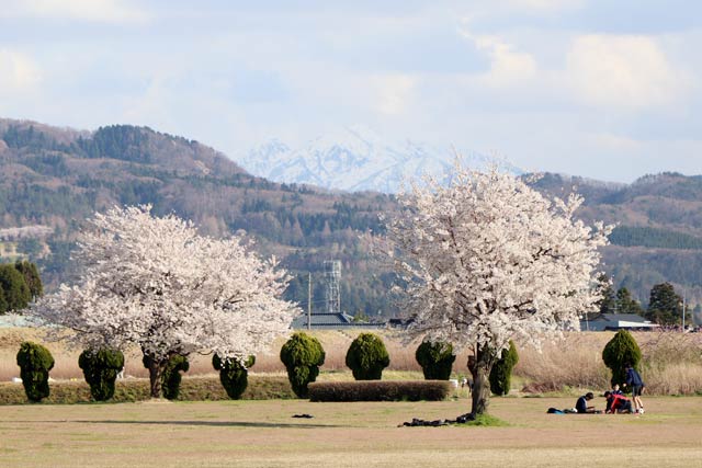 新潟市秋葉区の雁巻緑地公園