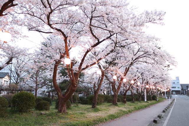 五泉市の粟島公園