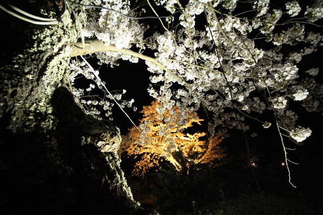 五泉市の村松公園