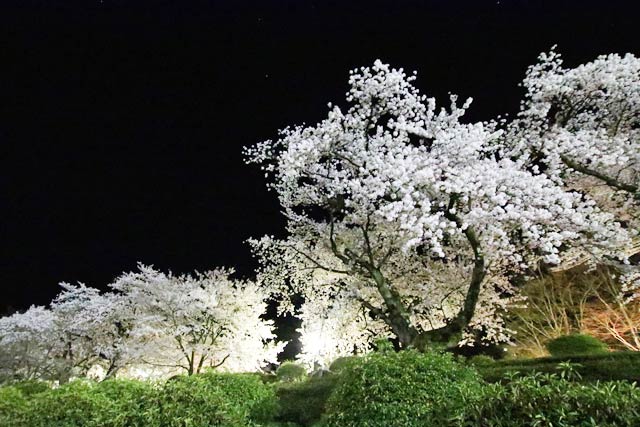 五泉市の村松公園