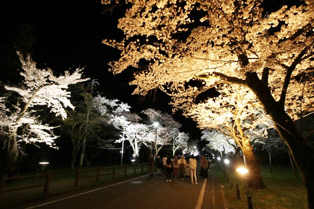 五泉市の村松公園