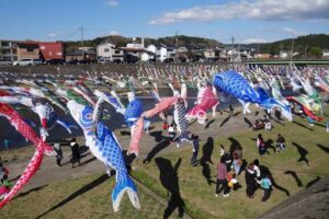 2017年の加茂川こいのぼりのようす