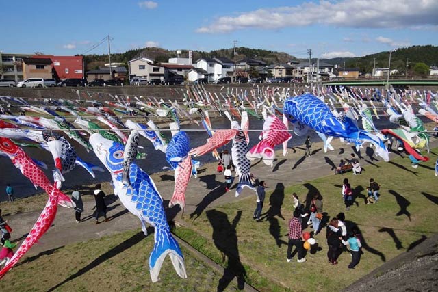2017年の加茂川こいのぼりのようす