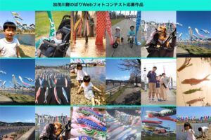 加茂川鯉のぼり中止で代わりにWEBフォトコンテスト