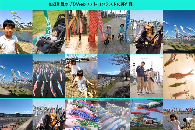 加茂川鯉のぼりWEBフォトコンテスト応募作品