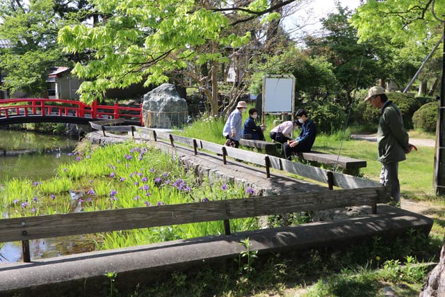 さわやかな陽気に人影が目立った八幡宮境内