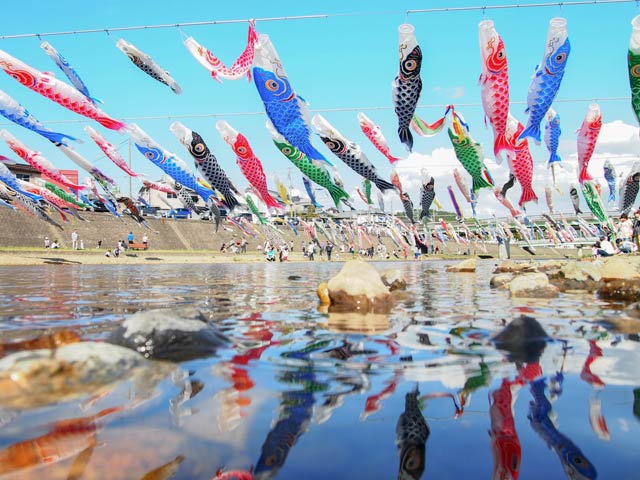【加茂川に鯉のぼりを泳がせる会賞】吉田恵子さん