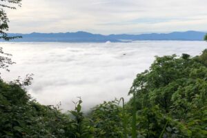 弥彦山頂から眼下に広がる雲海／読者とのやりとり