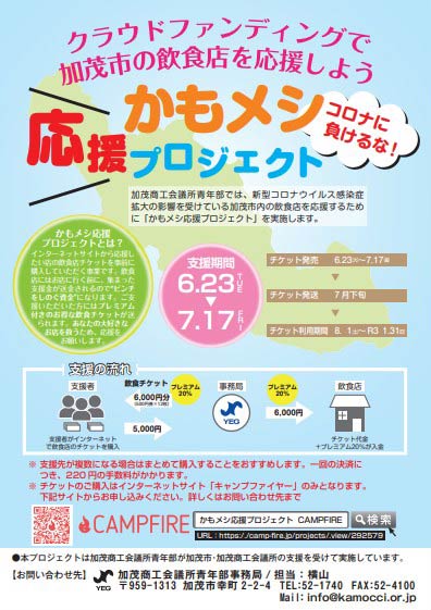 プロジェクトのちらし