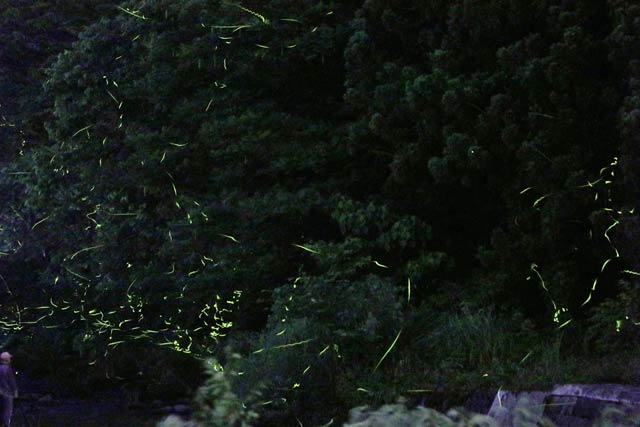 6月28日夜の撮影