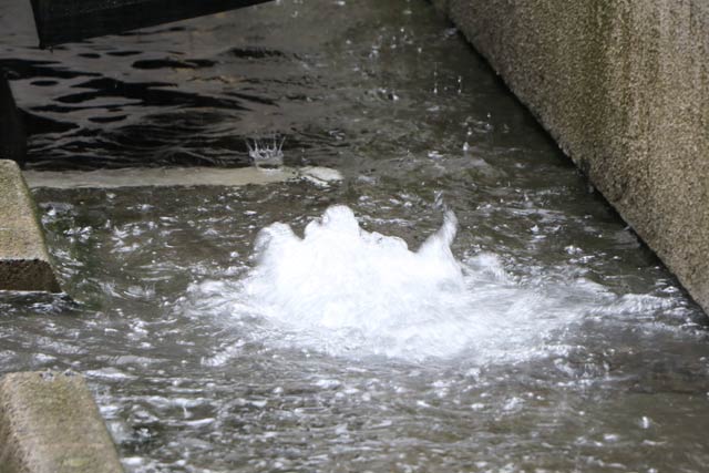 激しい雨で三条市役所低層棟駐車場の排水口から水が逆流