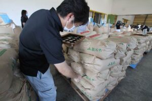 JAにいがた南蒲の南低温倉庫で行われた早場米の検査