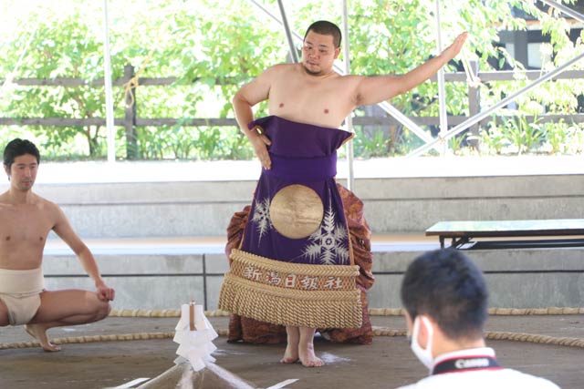 相撲場で手数入り