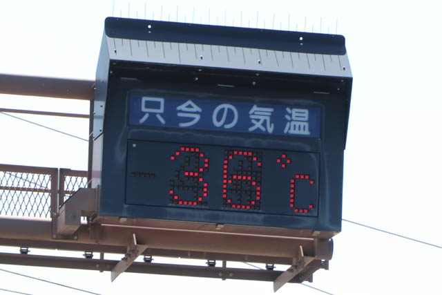 三条大橋たもとの「只今の気温」もしっかり36度を表示