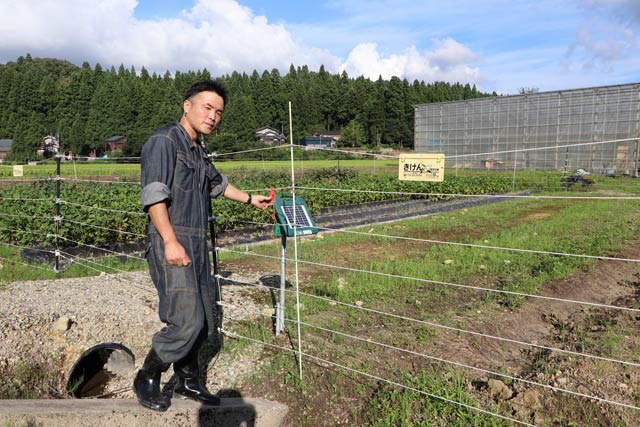 電気柵を設置している木村さん