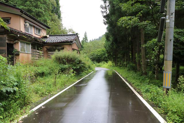 クマが目撃された付近の東大崎地内の林道
