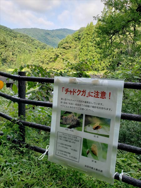 加茂市が粟ヶ岳登山道の入り口に掲示したチャドクガへの注意を呼びかける張り紙