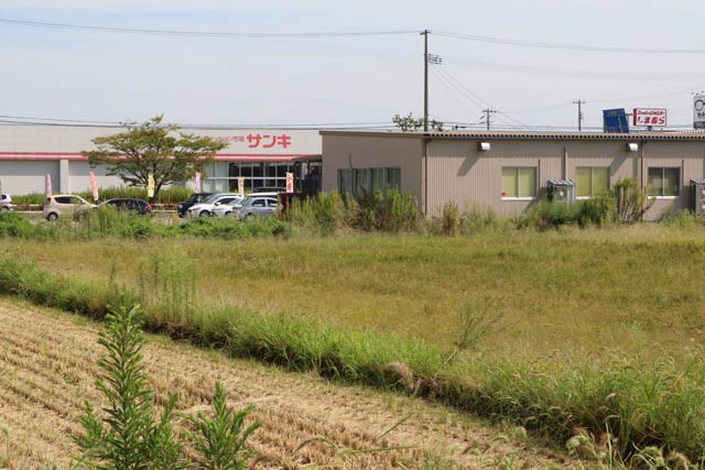 イノシシが目撃された「ほのか」の裏手の草むら