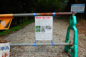 【コラム】日常でもチャドクガに注意
