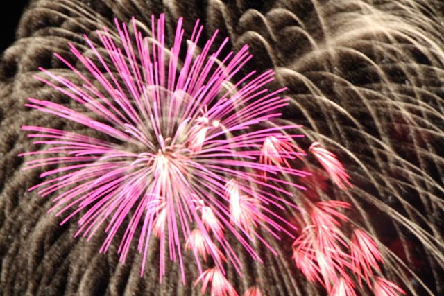 花火が夜空を鮮やかに彩る
