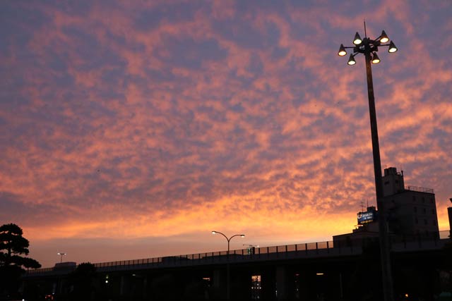 29日の夕焼け