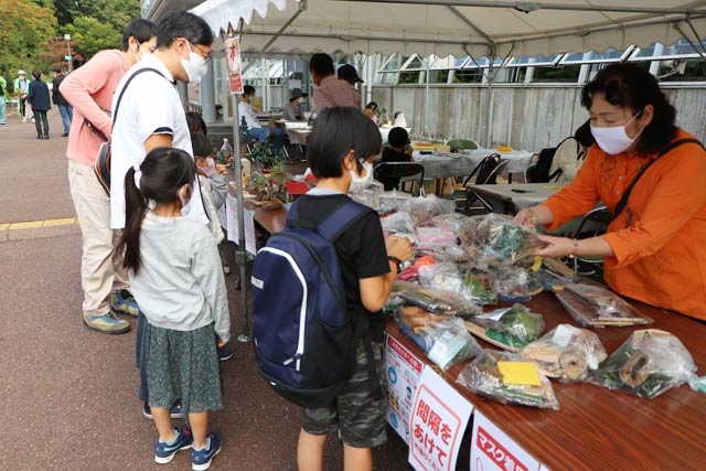 にぎわう秋の保内公園まつり