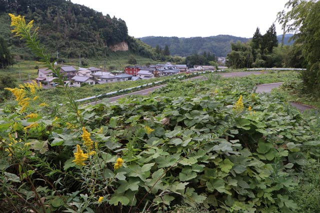 クマが逃げ込んだ山手におりを設置した