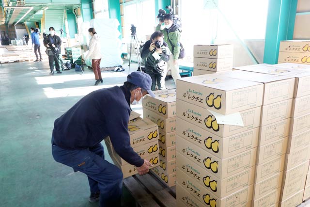 加茂市の加茂選果場に出荷される「ル レクチエ」