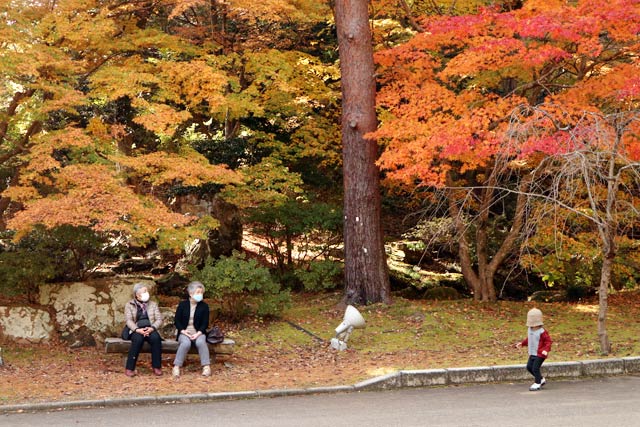 19日の弥彦公園