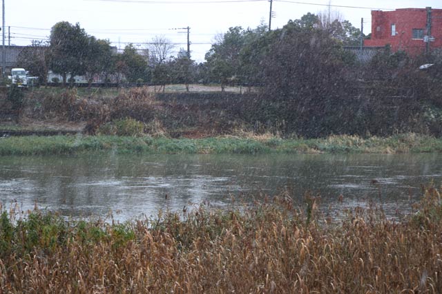 燕市で本格的な雪