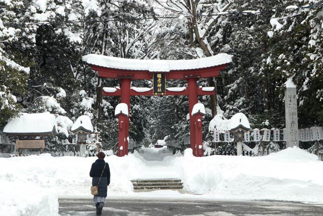 12日の弥彦神社の一の鳥居のようす