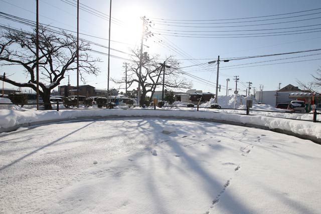 氷に覆われた三条市厚生福祉会館駐車場の池