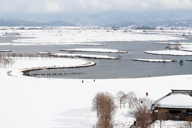 「ビュー福島潟」の展望台から眼下に広がる福島潟と雪原