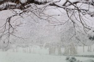 8日午後に三条市上須頃に降る激しい雪